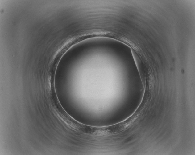 X0000078830350200611201254