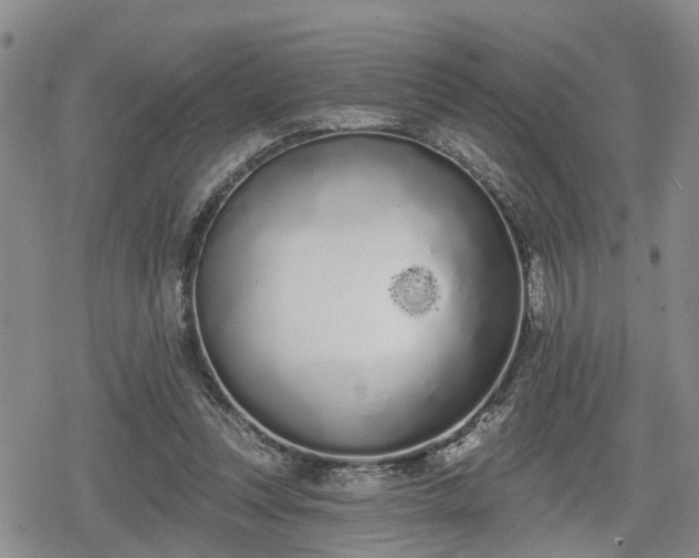 X0000078830351200611201254