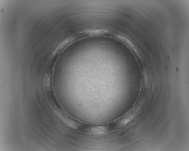 X0000078830357200611201254