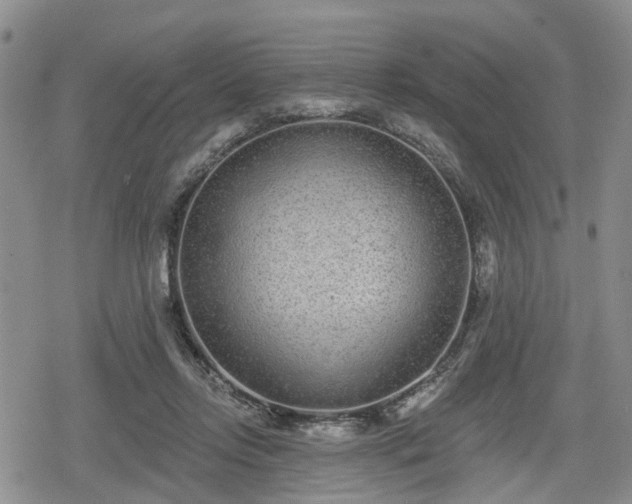 X0000078830358200611201254