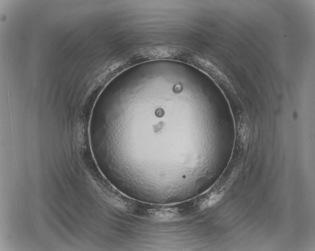 X0000078830359200611201254