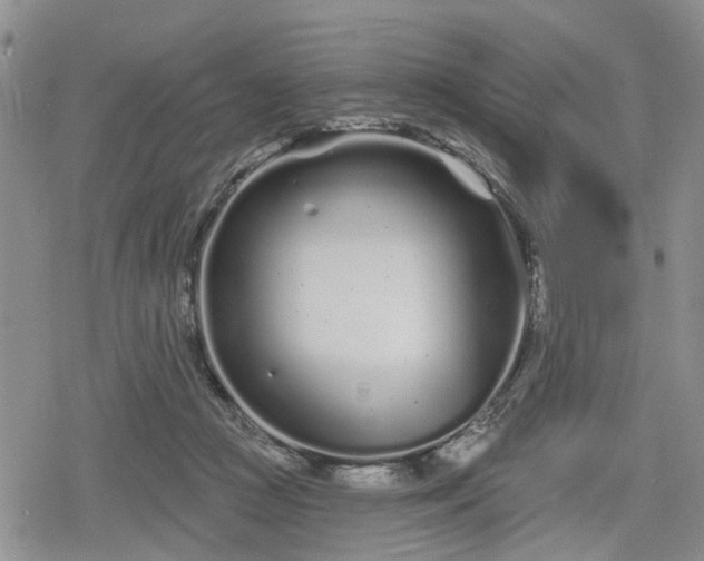 X0000078830361200611201254