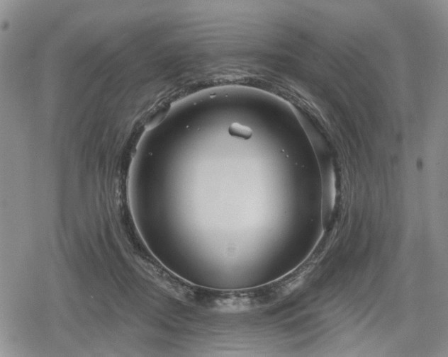 X0000078830362200611201254