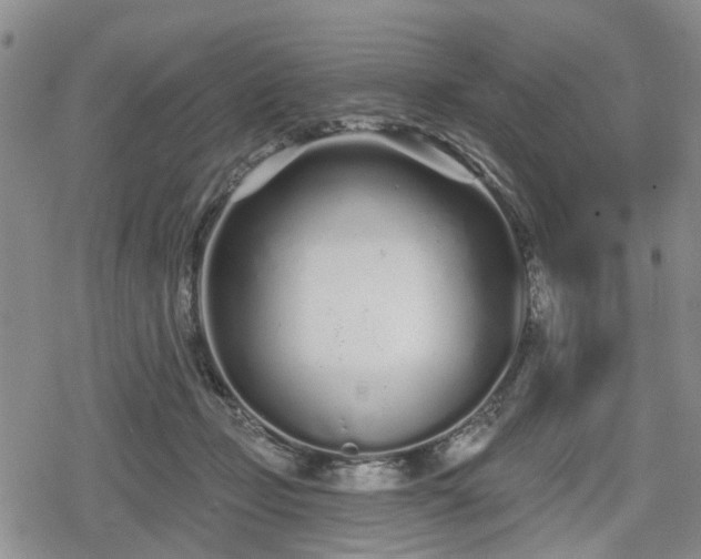 X0000078830365200611201254