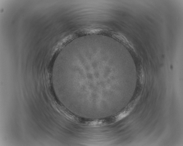 X0000078830366200611201254