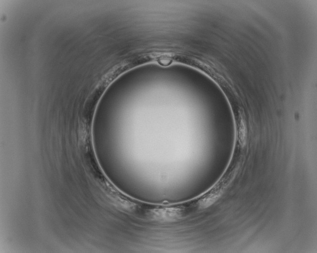 X0000078830367200611201254