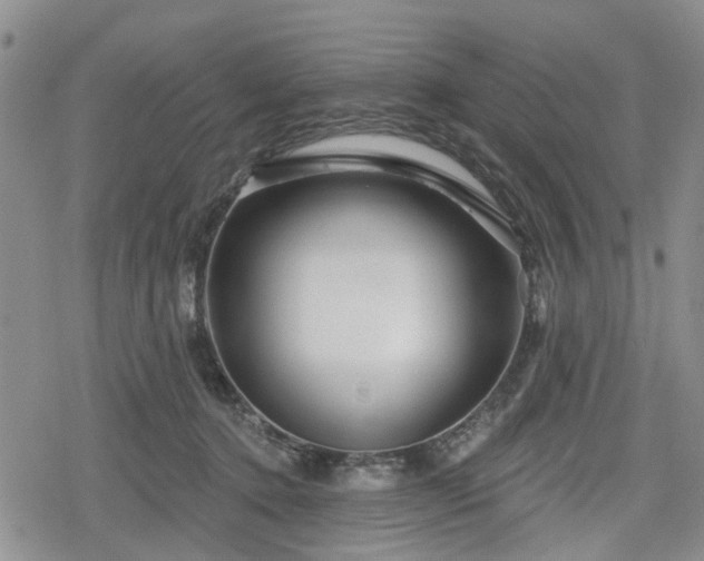 X0000078830368200611201254