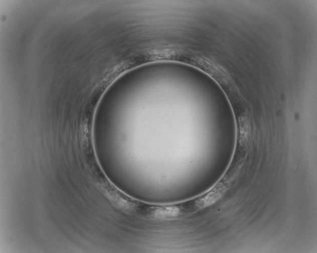 X0000078830369200611201254