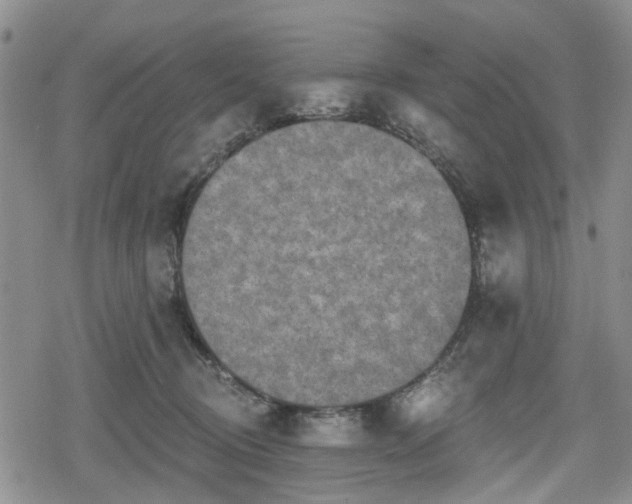 X0000078830370200611201254