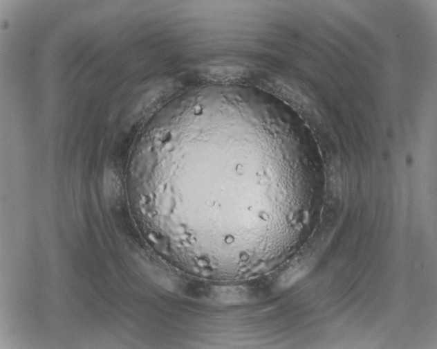 X0000078830371200611201254