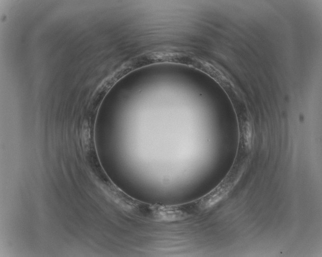 X0000078830372200611201254