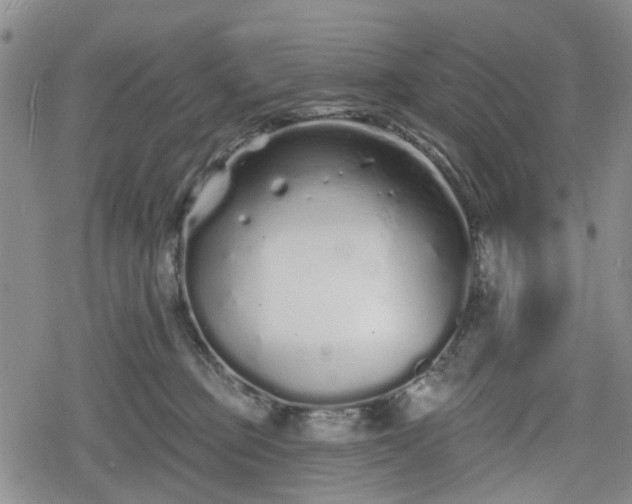 X0000078830373200611201254