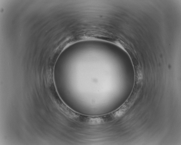 X0000078830376200611201254