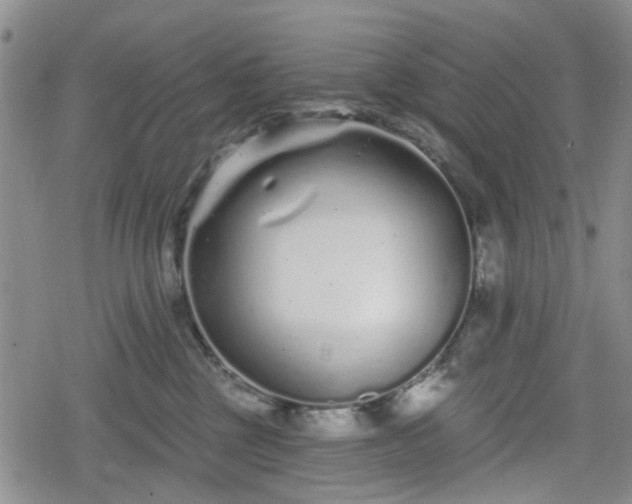 X0000078830377200611201254