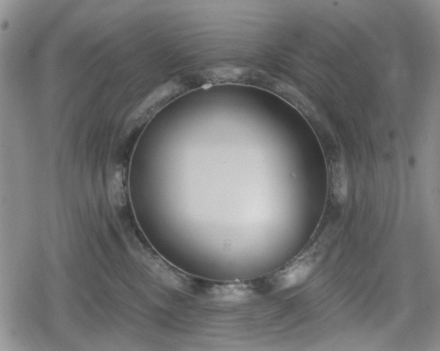 X0000078830378200611201254