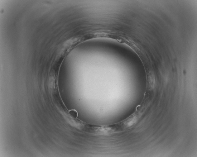 X0000078830379200611201254