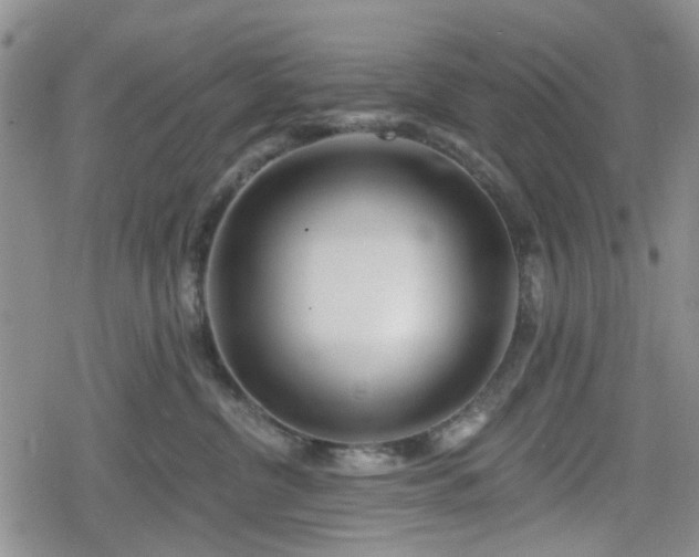 X0000078830380200611201254