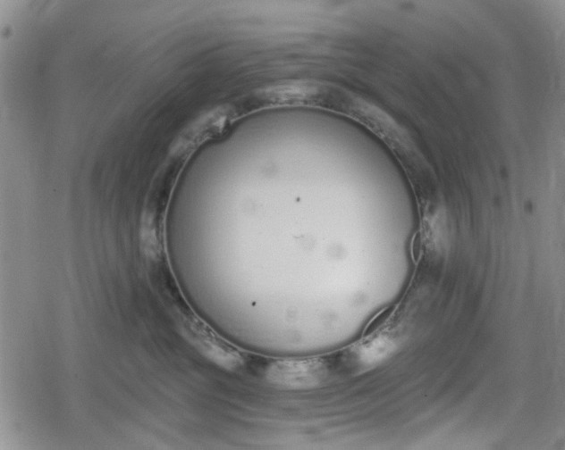 X0000078830381200611201254