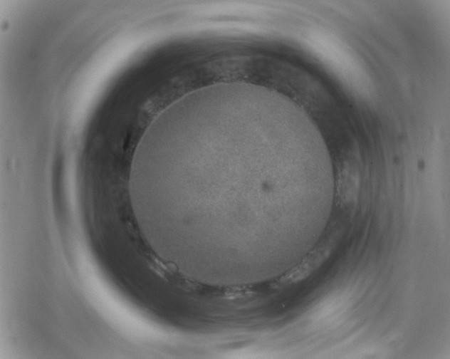 X0000078830383200611201254