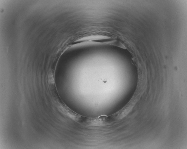 X0000078830384200611201254