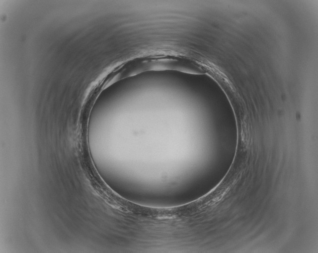 X0000078830388200611201253