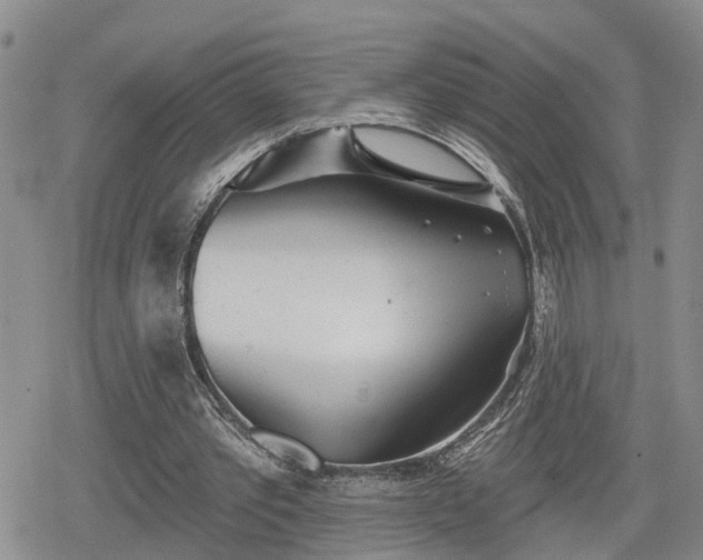 X0000078830389200611201253