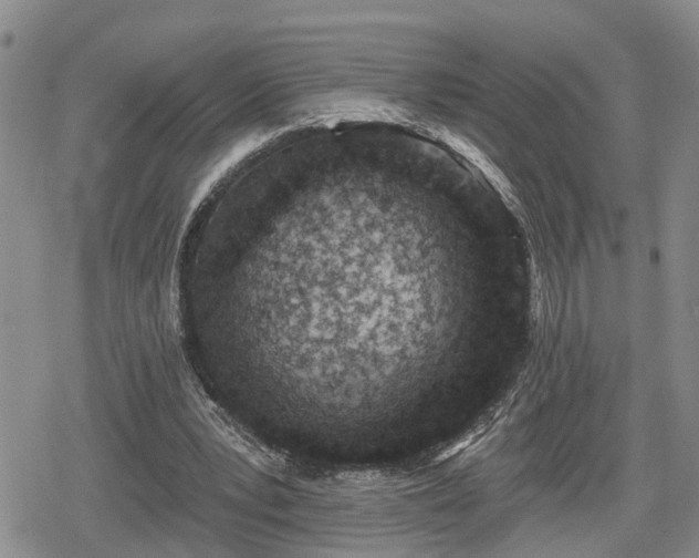 X0000078830391200611201253