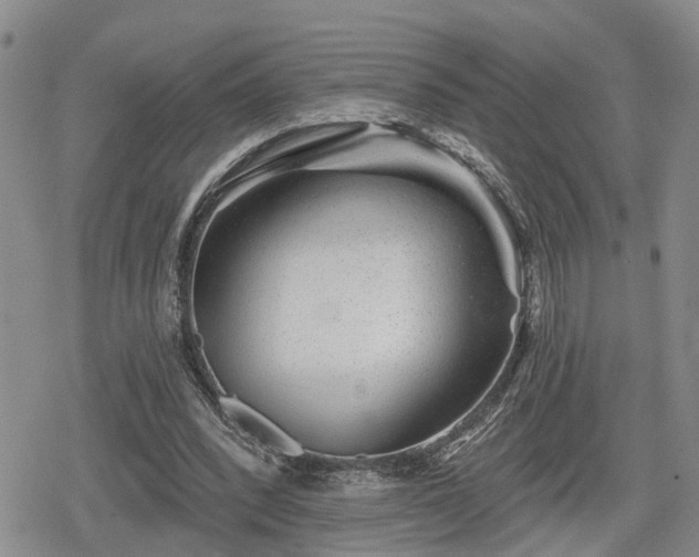 X0000078830392200611201253