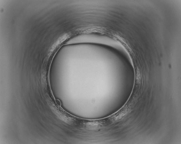 X0000078830394200611201253