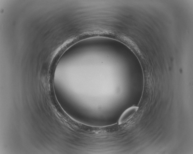 X0000078830395200611201253