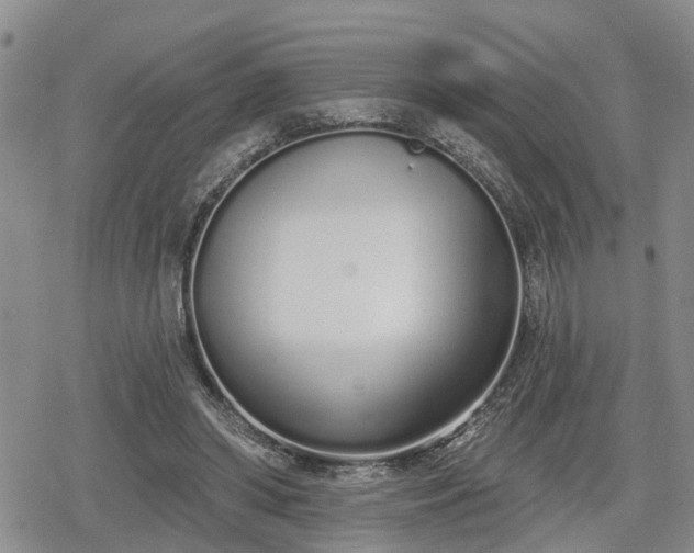 X0000078830398200611201253