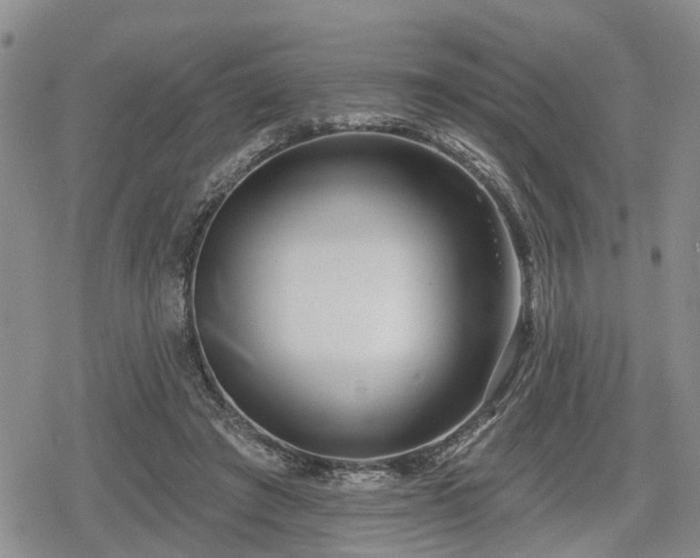 X0000078830401200611201253