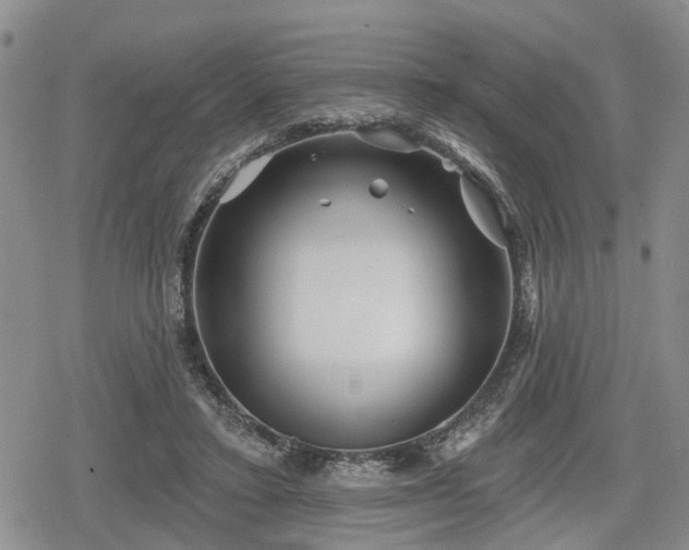 X0000078830403200611201253