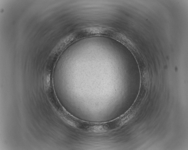 X0000078830406200611201253