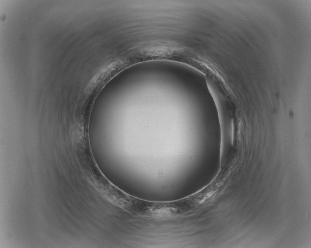 X0000078830407200611201253