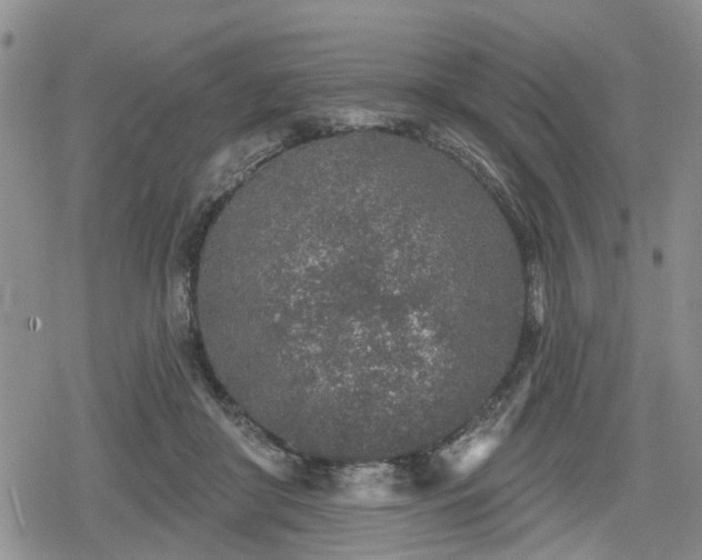 X0000078830410200611201253