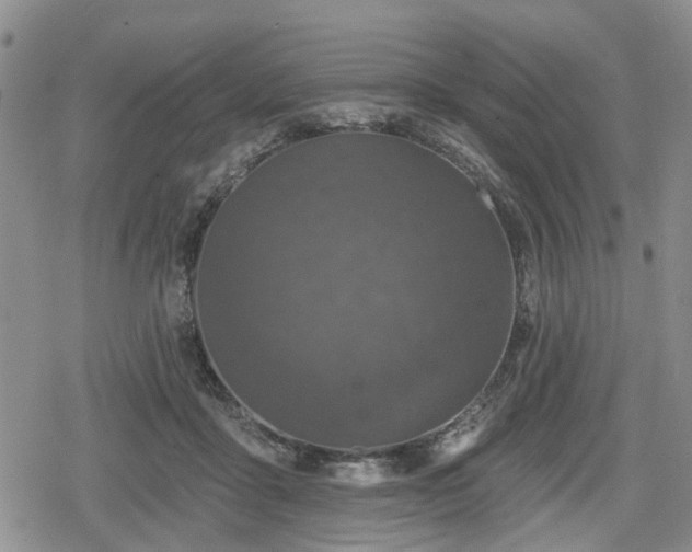 X0000078830411200611201253