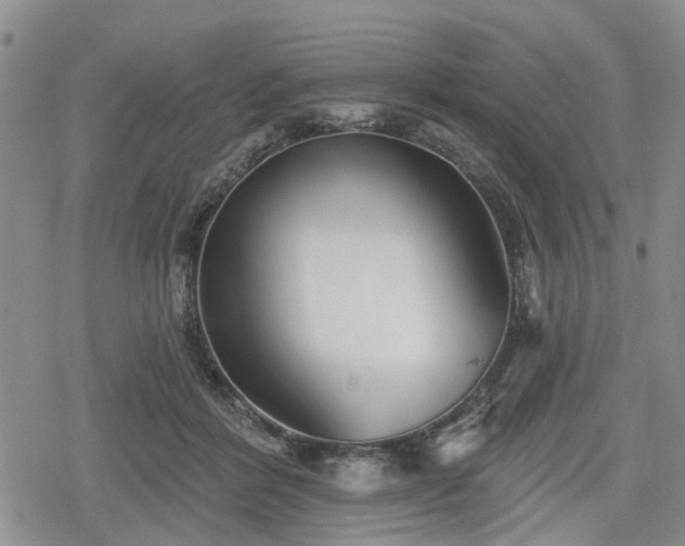 X0000078830412200611201253