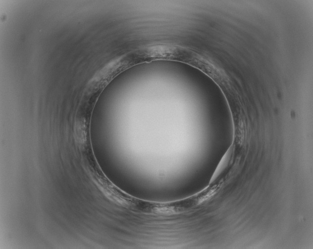 X0000078830413200611201253