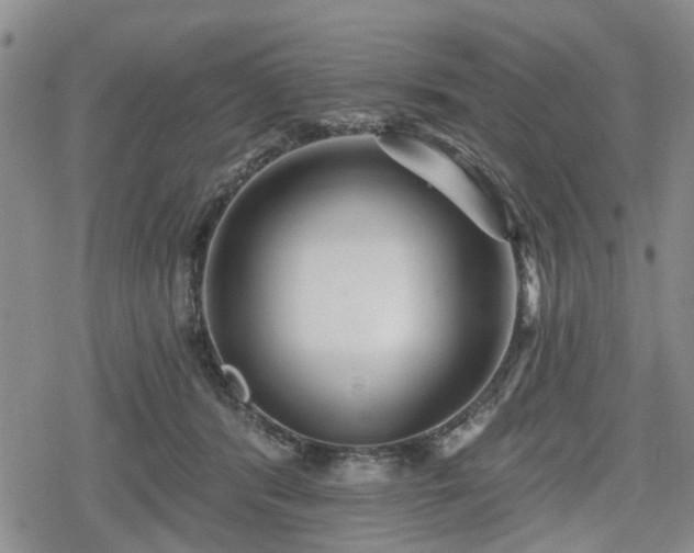 X0000078830416200611201253