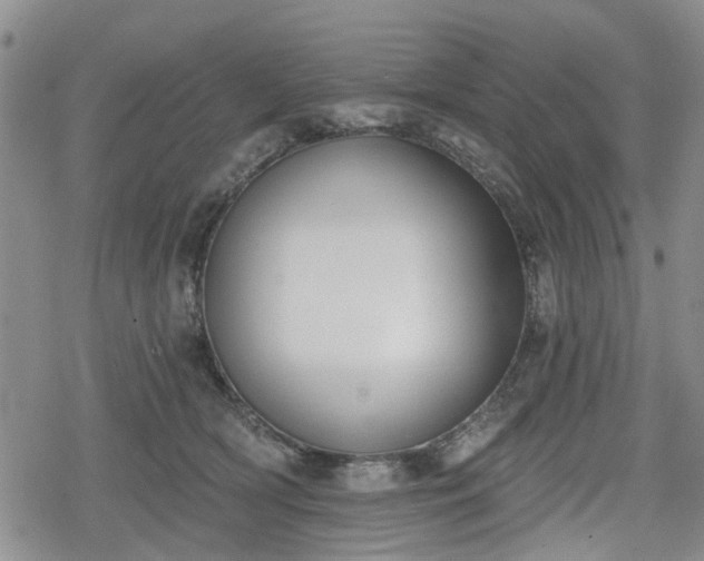 X0000078830418200611201253