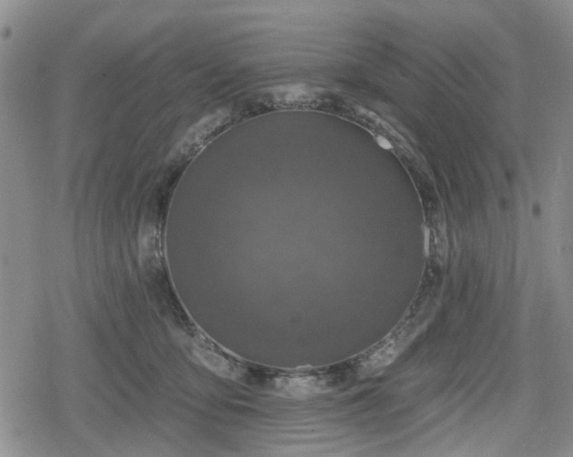 X0000078830419200611201253