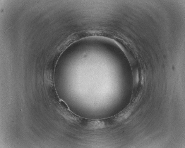 X0000078830421200611201253