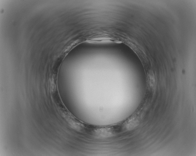 X0000078830422200611201253