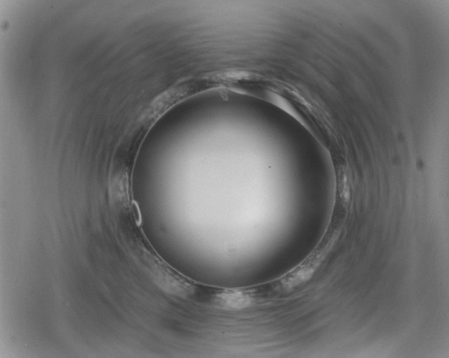 X0000078830425200611201253