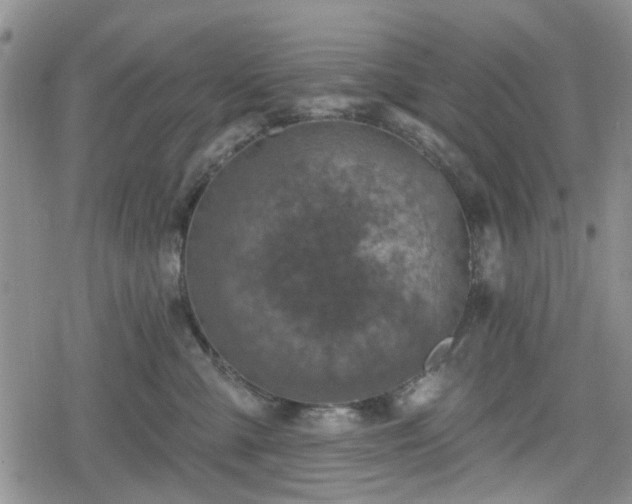 X0000078830427200611201253