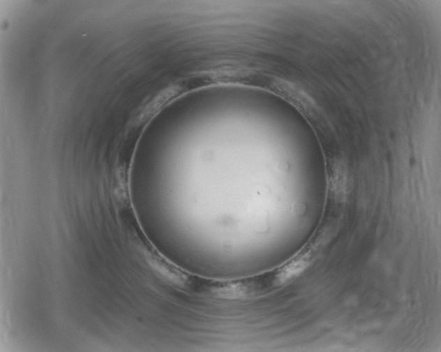 X0000078830430200611201253