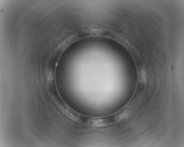 X0000078830472200611201252