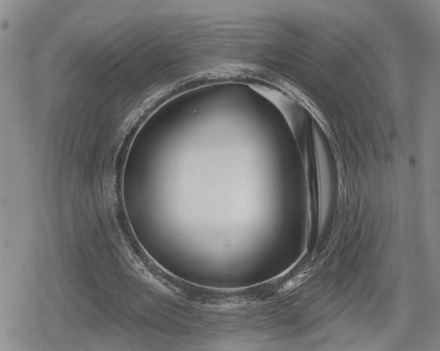 X0000078830485200611201252