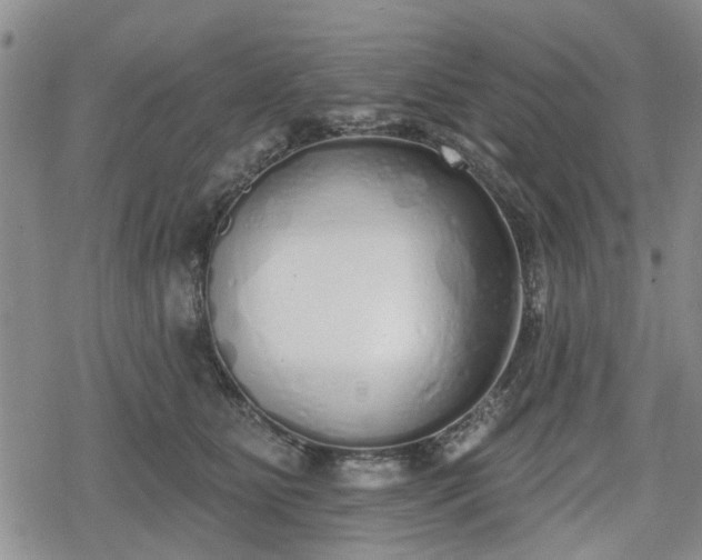 X0000078830515200611201251